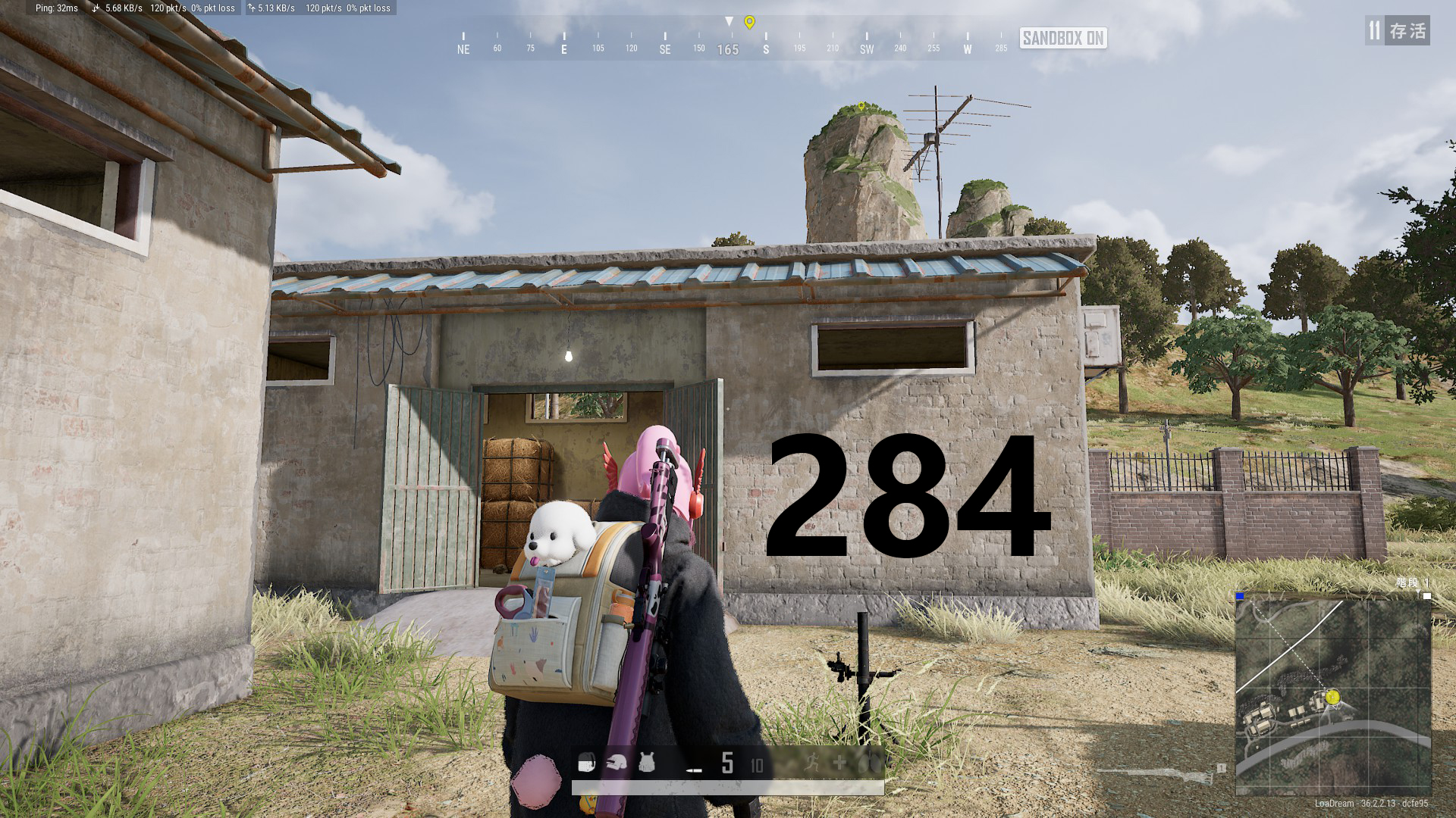 17.jpg