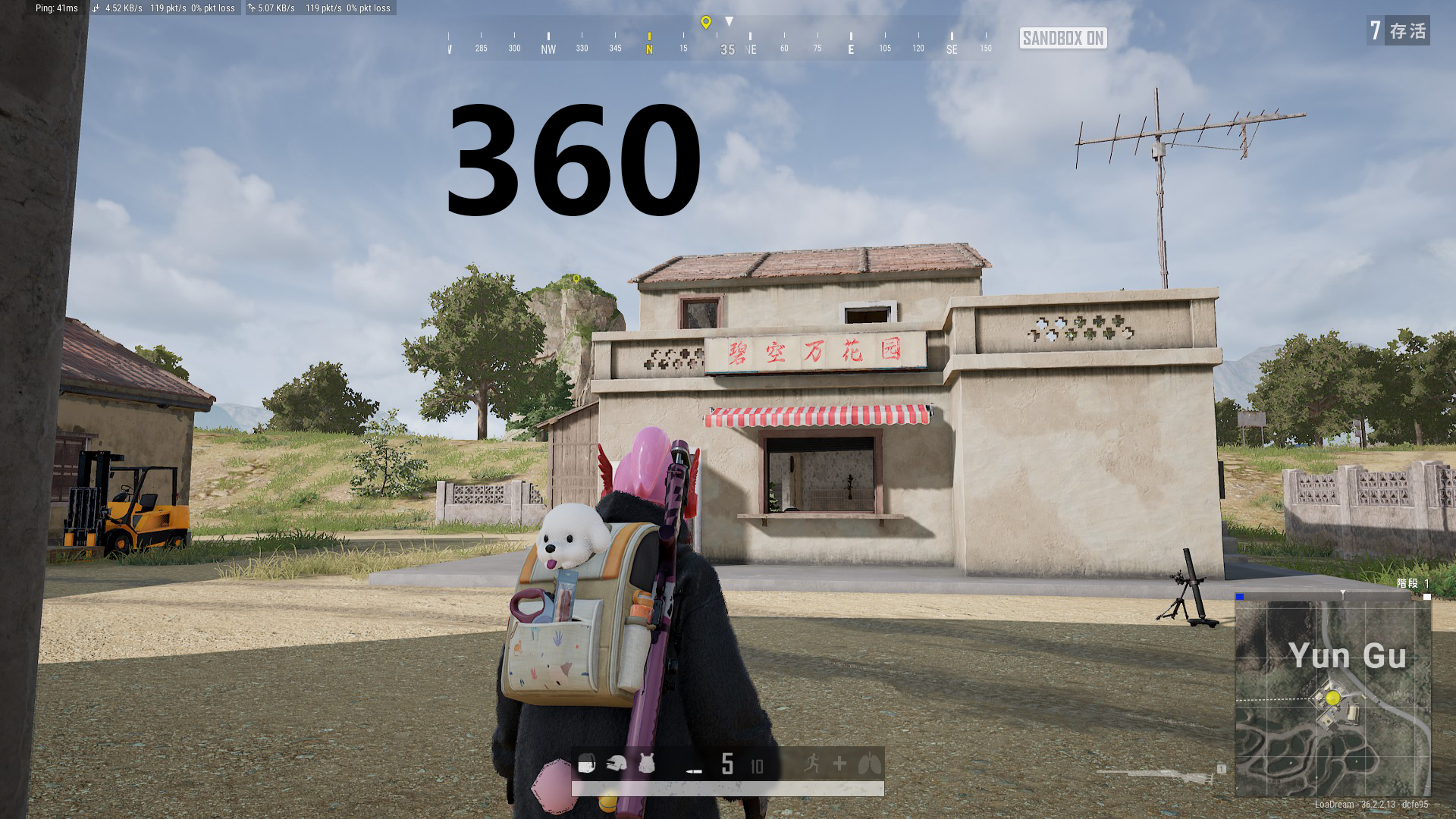 29.jpg