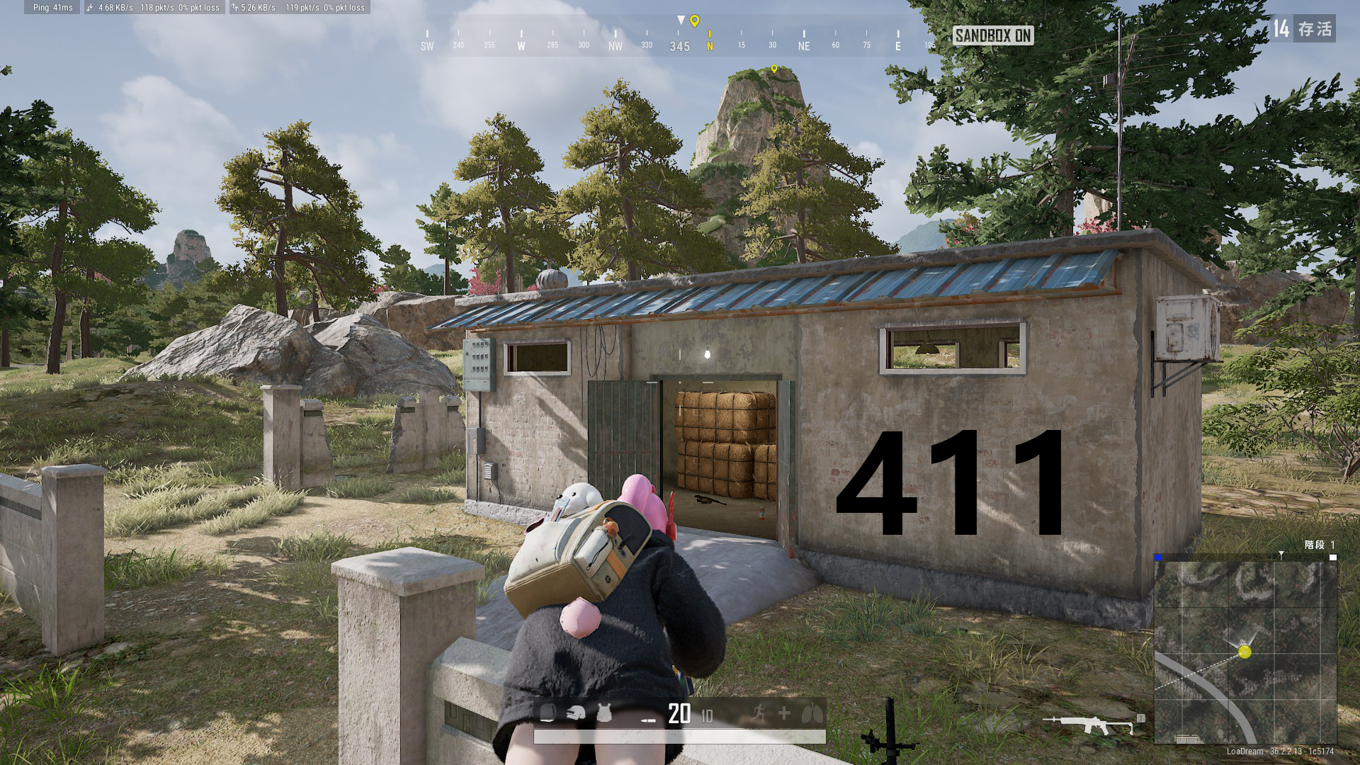 38.jpg