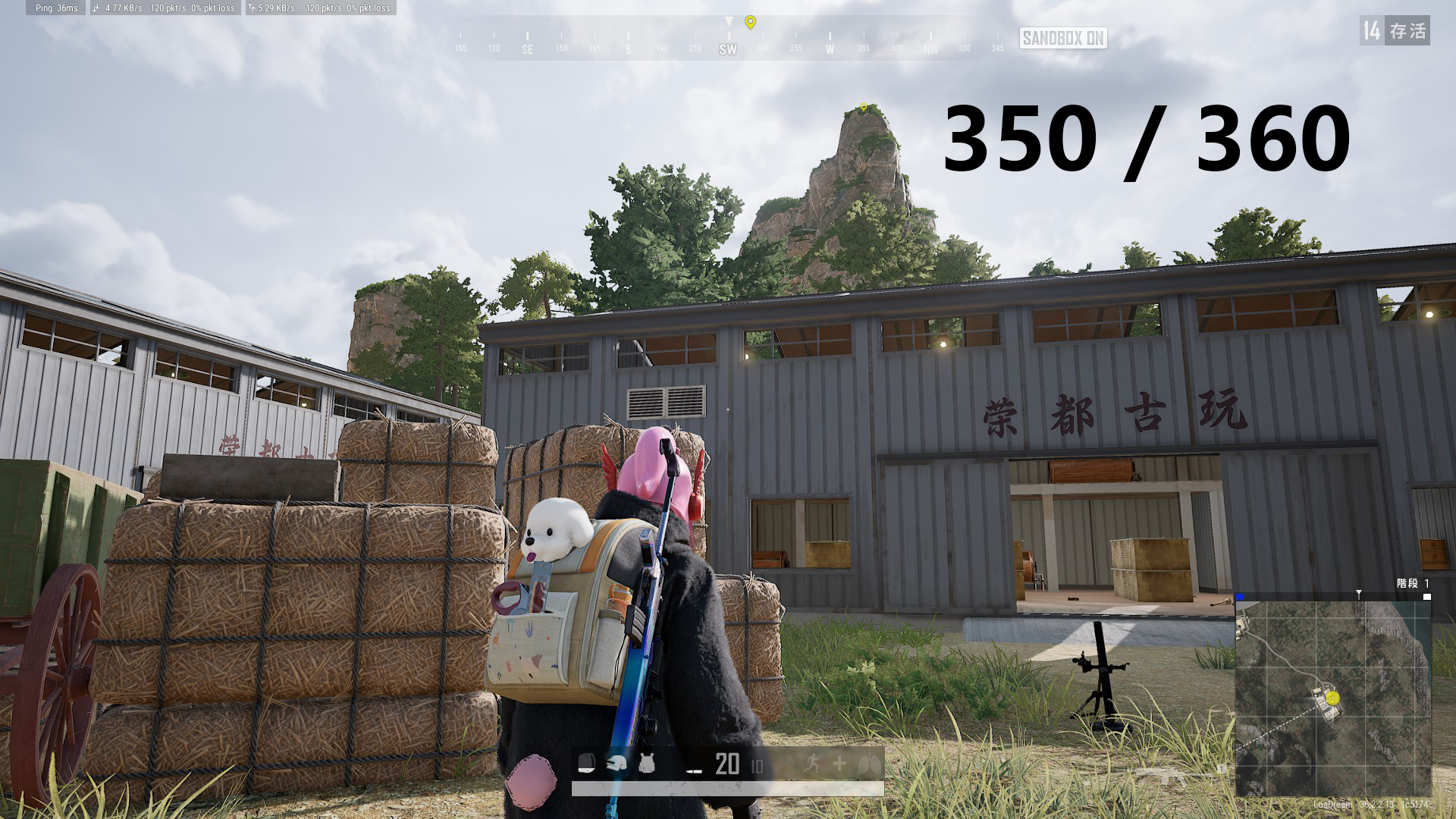 39.jpg