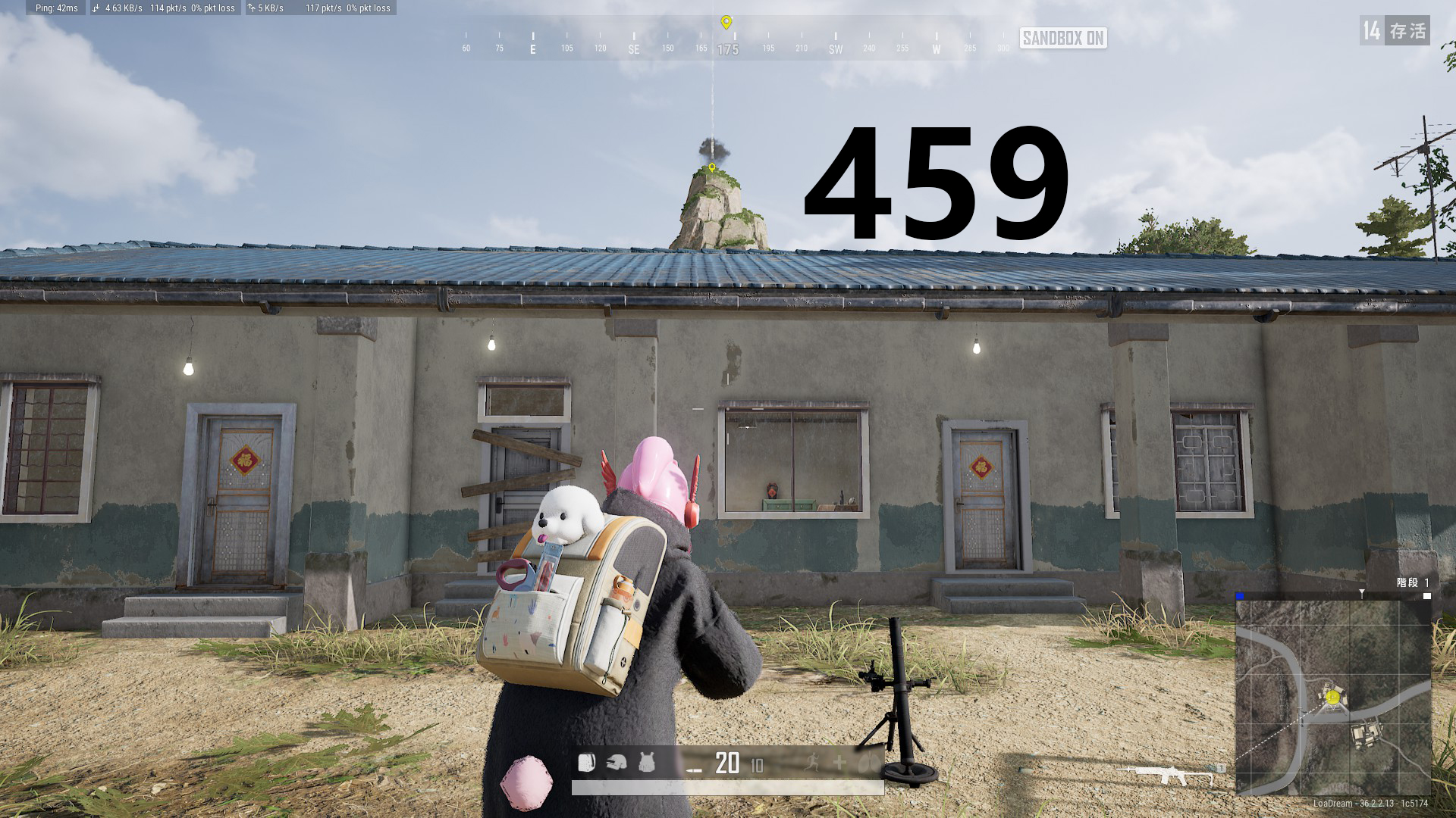 41.jpg