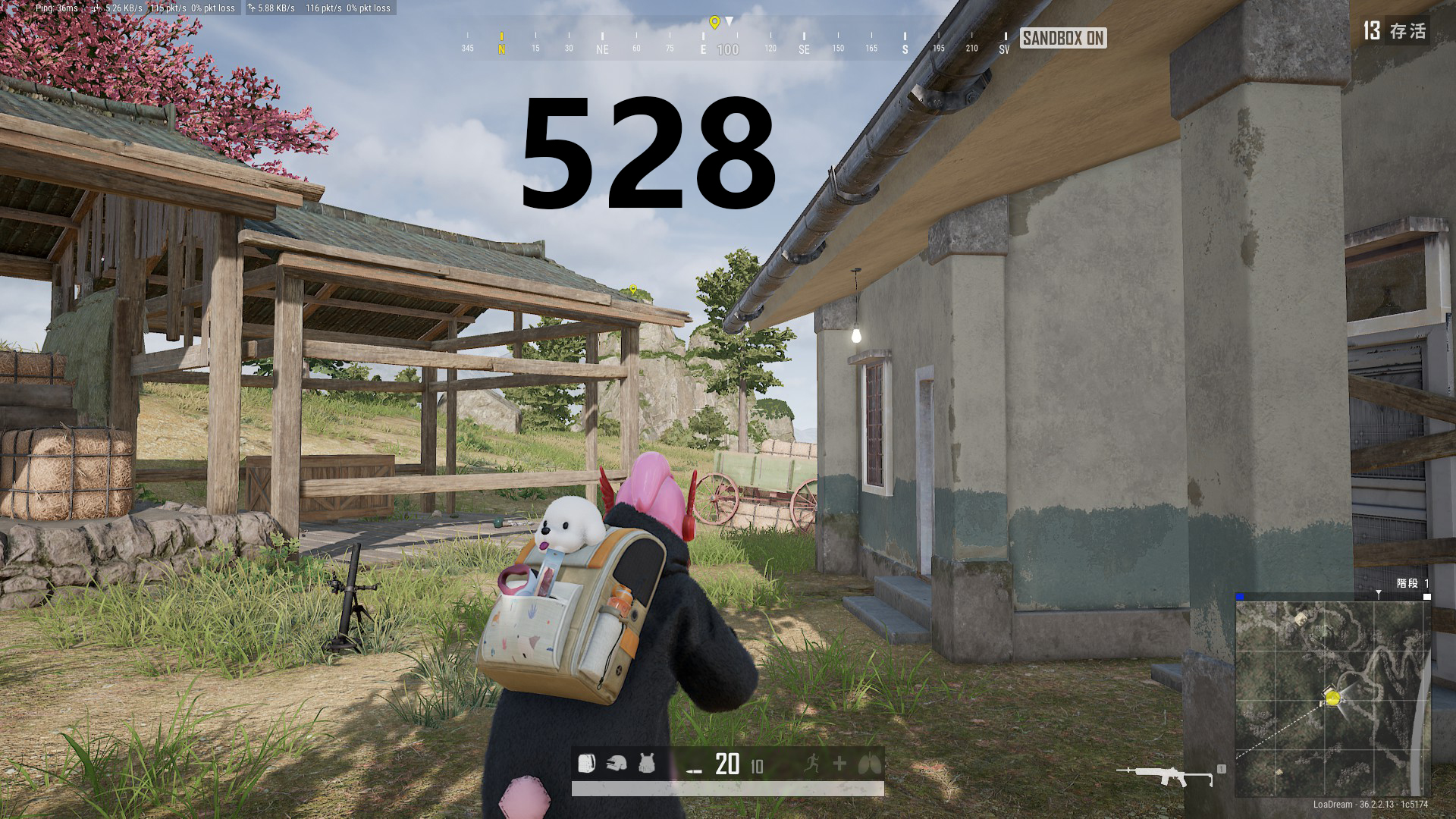 43.jpg