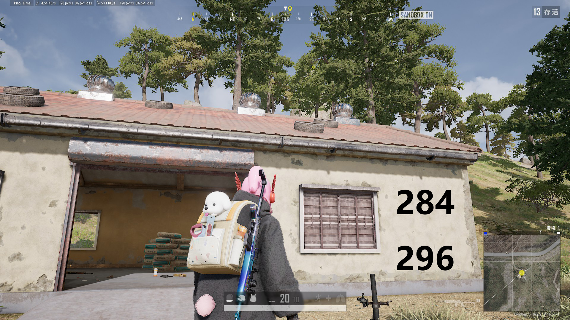 46.jpg
