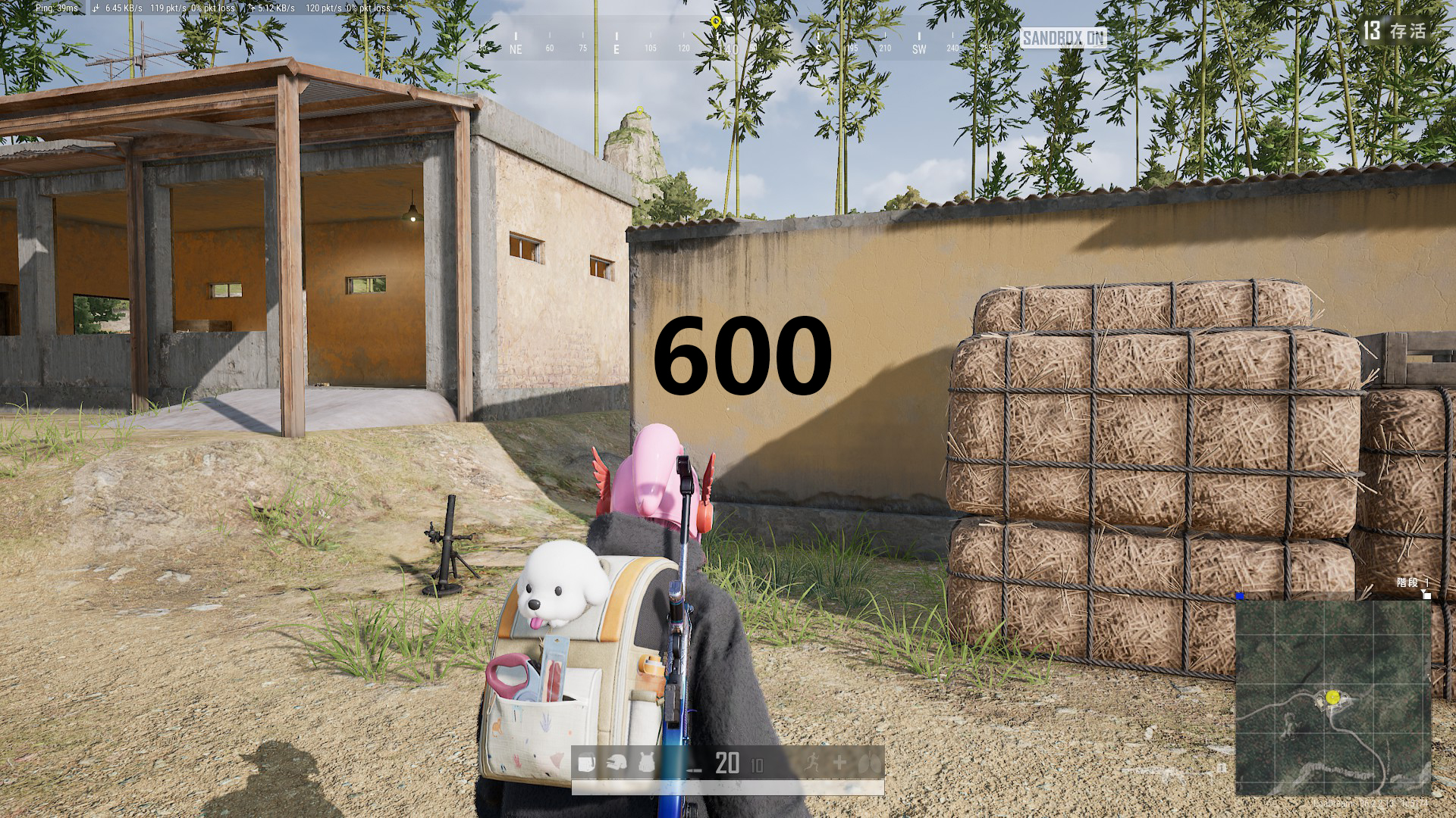 54.jpg
