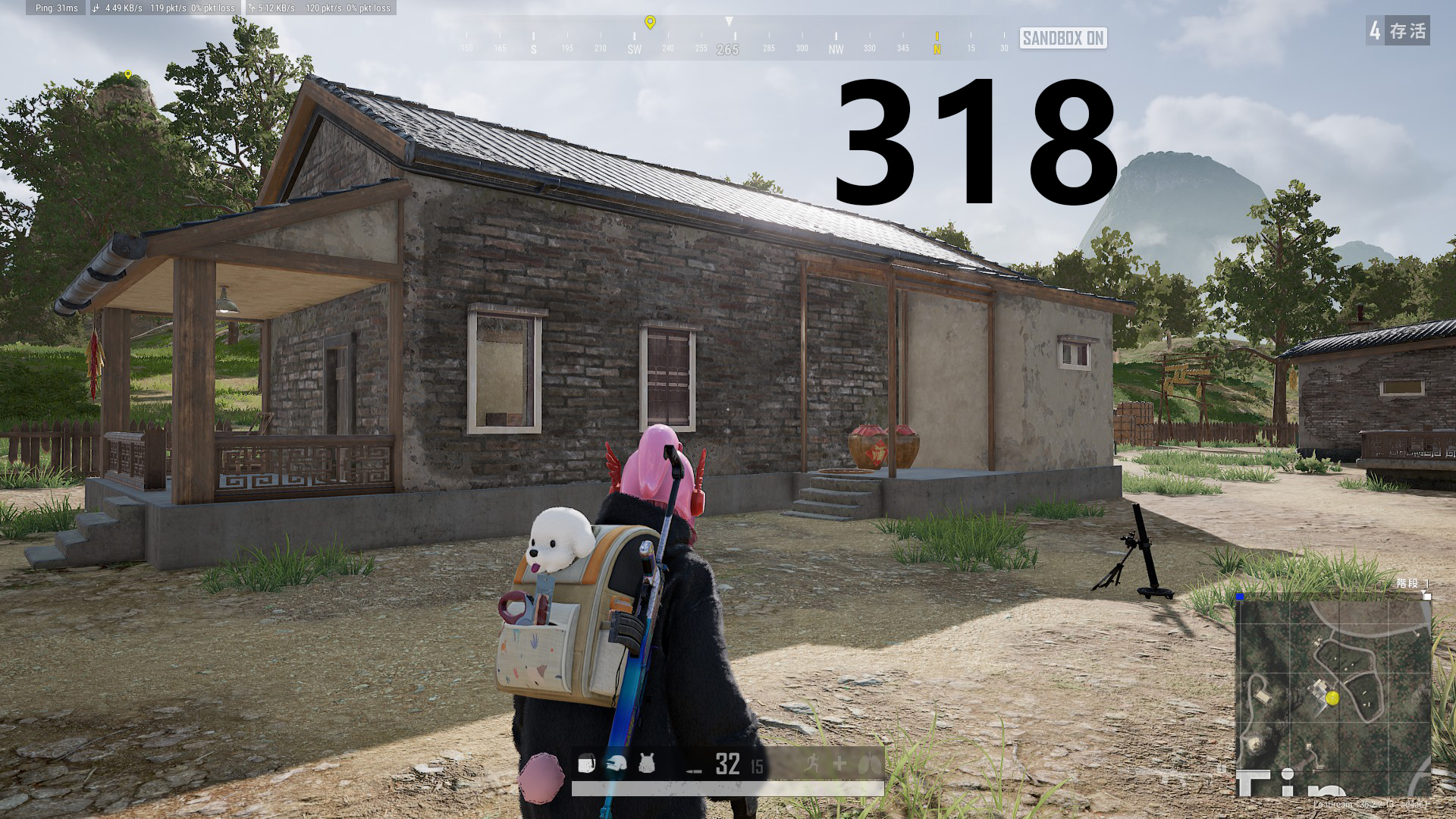74.jpg