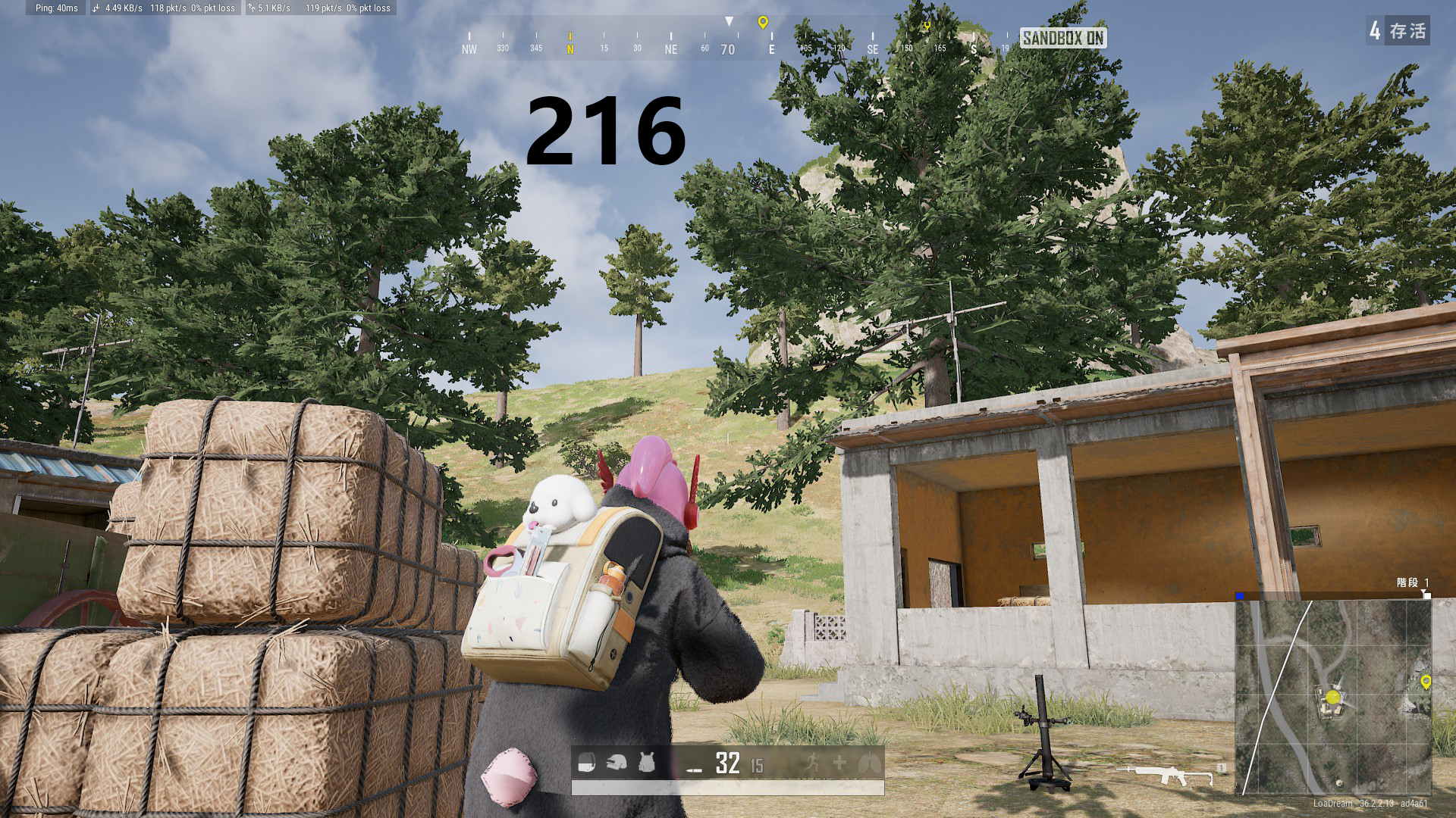 79.jpg