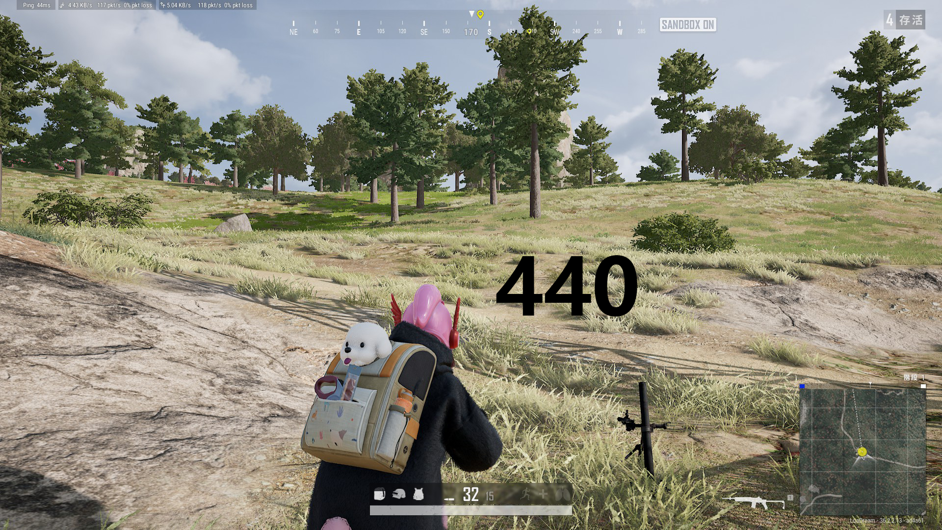 84.jpg